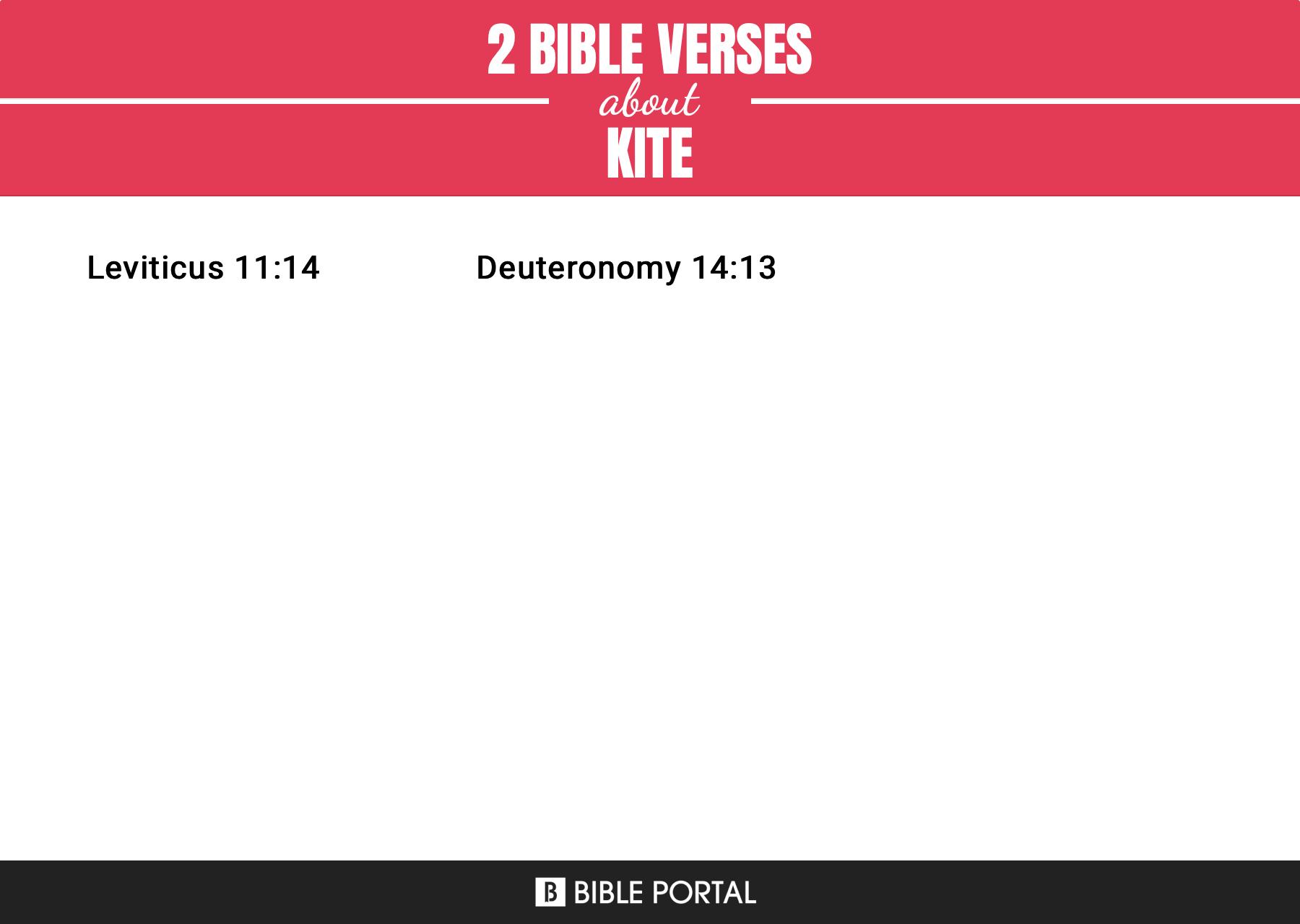 2 Bible Verses about Kite