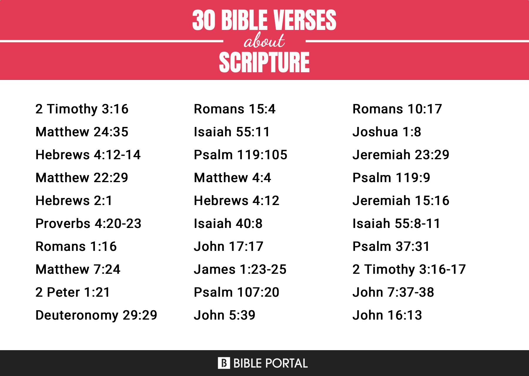 Scripture Feature 83 Bible Verses about Scripture