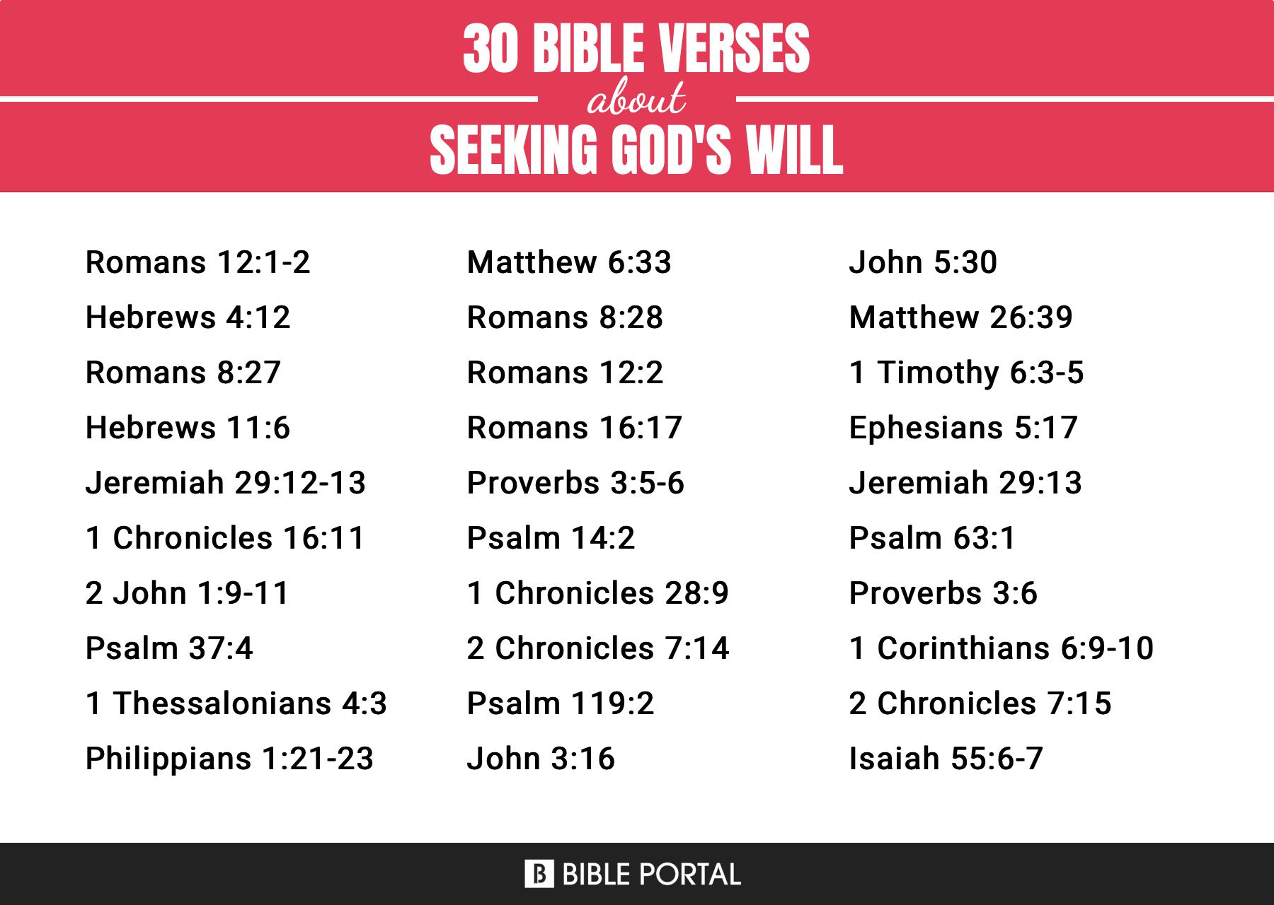 35 Bible Verses about Seeking Gods Will