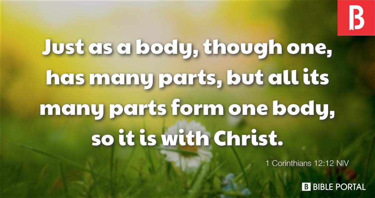 1 Corinthians 12:12 NIV - Bible Study, Meaning, Images, Commentaries