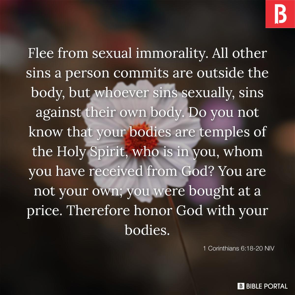 1200px x 1200px - What Does the Bible Say about Pornography?