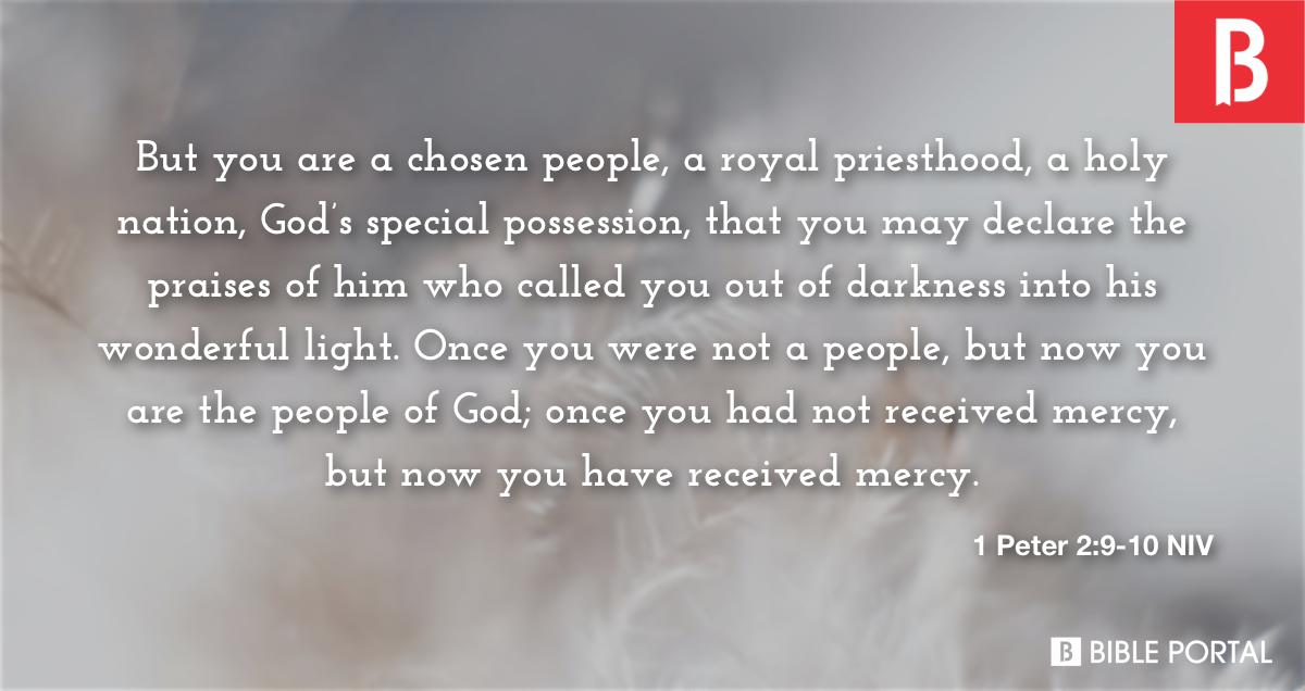 1 Peter 2 9 10 NIV Bible Scripture Image Bible Portal 1-peter-2-9-10-niv-bible-scripture-image-bible-portal