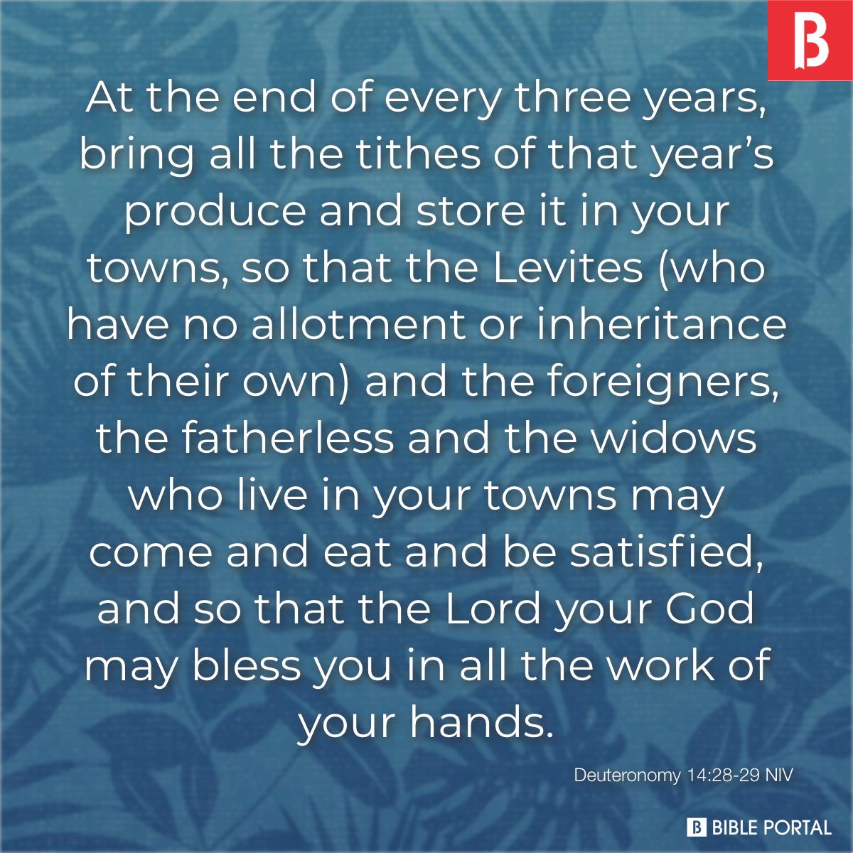 bible verses about widows and orphans bible verses about widows and orphans