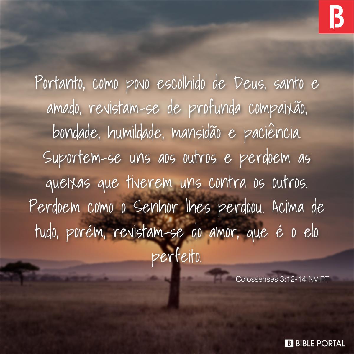 Colossenses 3:14 - Revista-se de amor, que é o elo perfeito - Bíblia