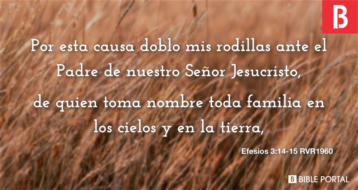 La invasión de los bolsos de padre: ¿es esta la herencia más