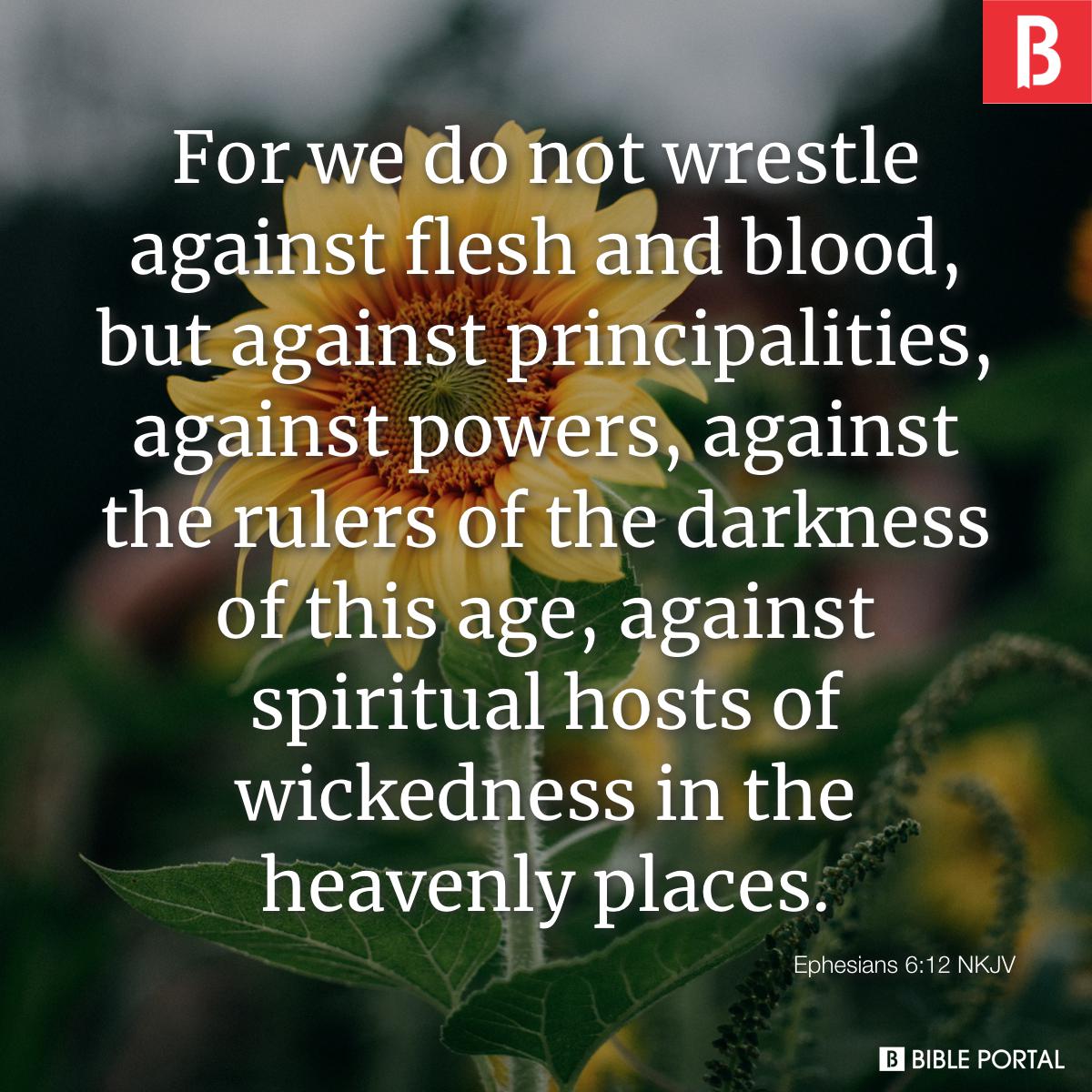 Ephesians 6:12-20 For we wrestle not against flesh and blood, but