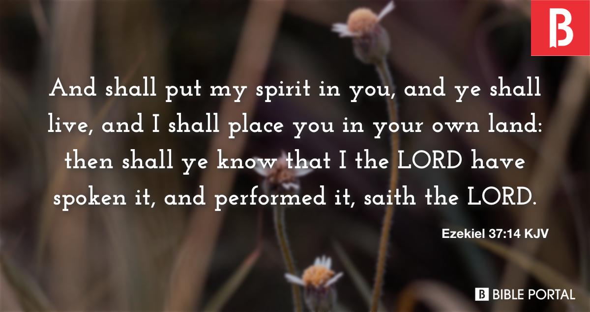 Ezekiel 37 14 KJV Bible Study Meaning Images Commentaries ezekiel-37-14-kjv-bible-study-meaning-images-commentaries