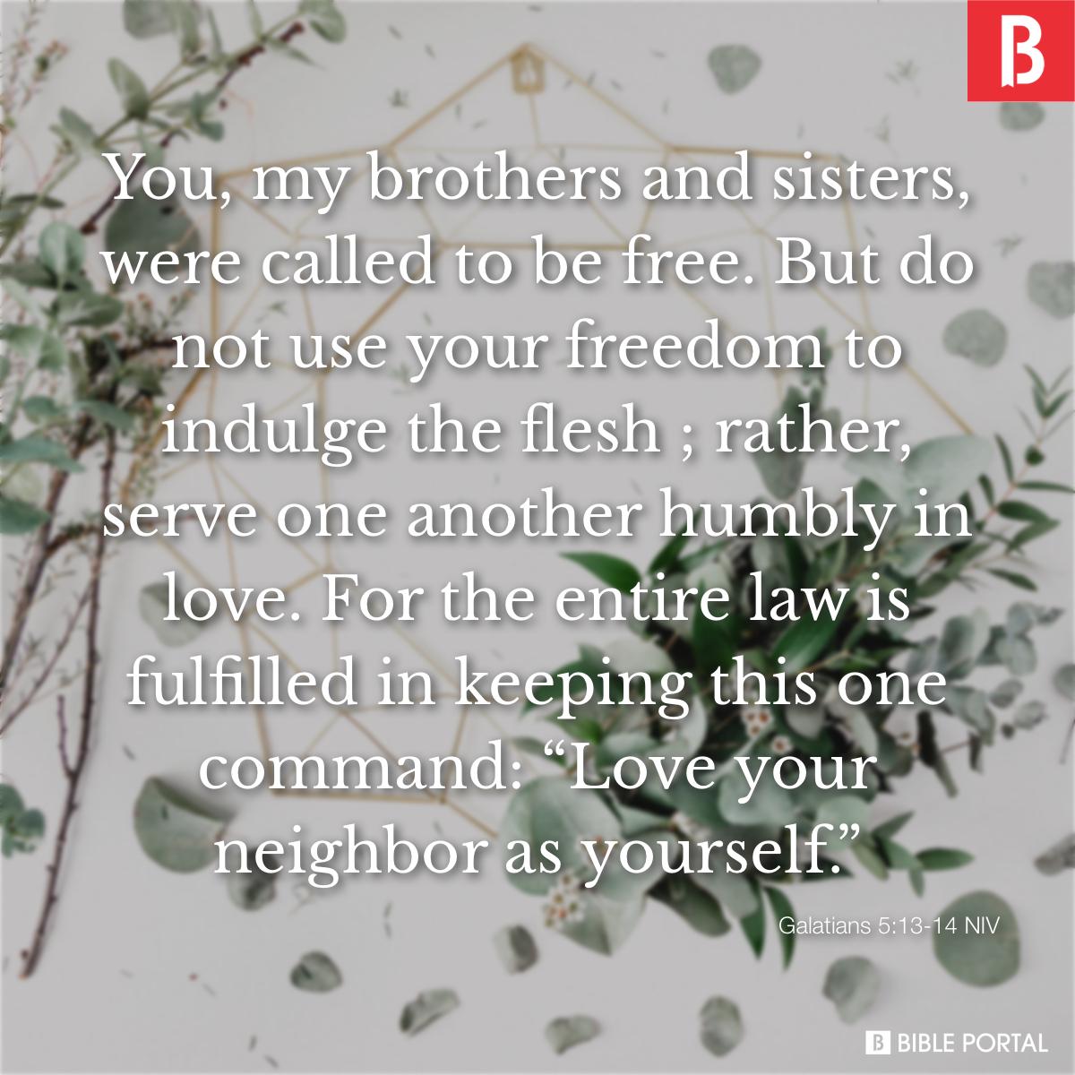 Galatians 5:13 You, my brothers and sisters, were called to be free. But do  not use your freedom to indulge the flesh; rather, serve one another humbly  in love.