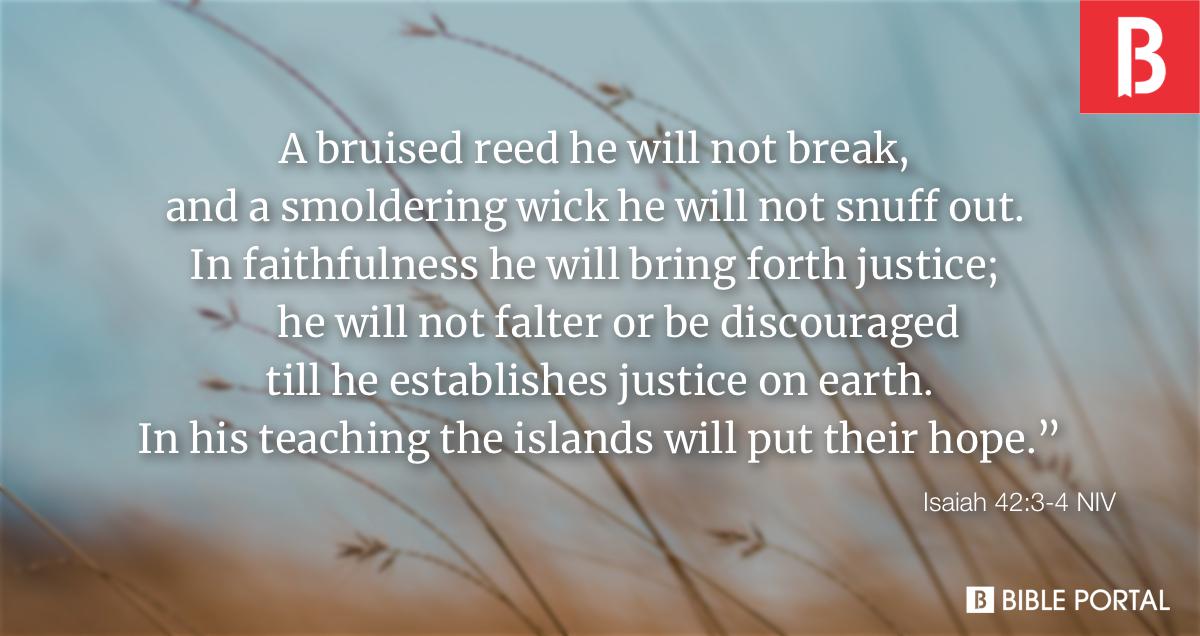 Isaiah 42 3 4 NIV Bible Study Meaning Images Commentaries isaiah-42-3-4-niv-bible-study-meaning-images-commentaries