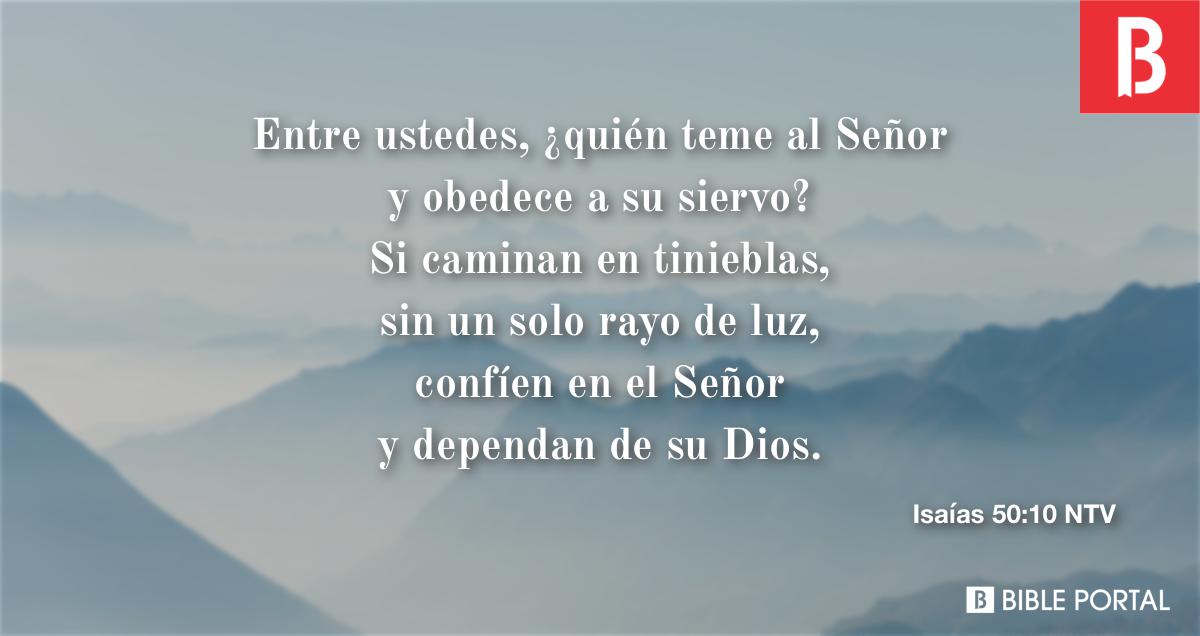 Yo he venido como una luz para brillar en este mundo de oscuridad Juan  12:46 (NTV)