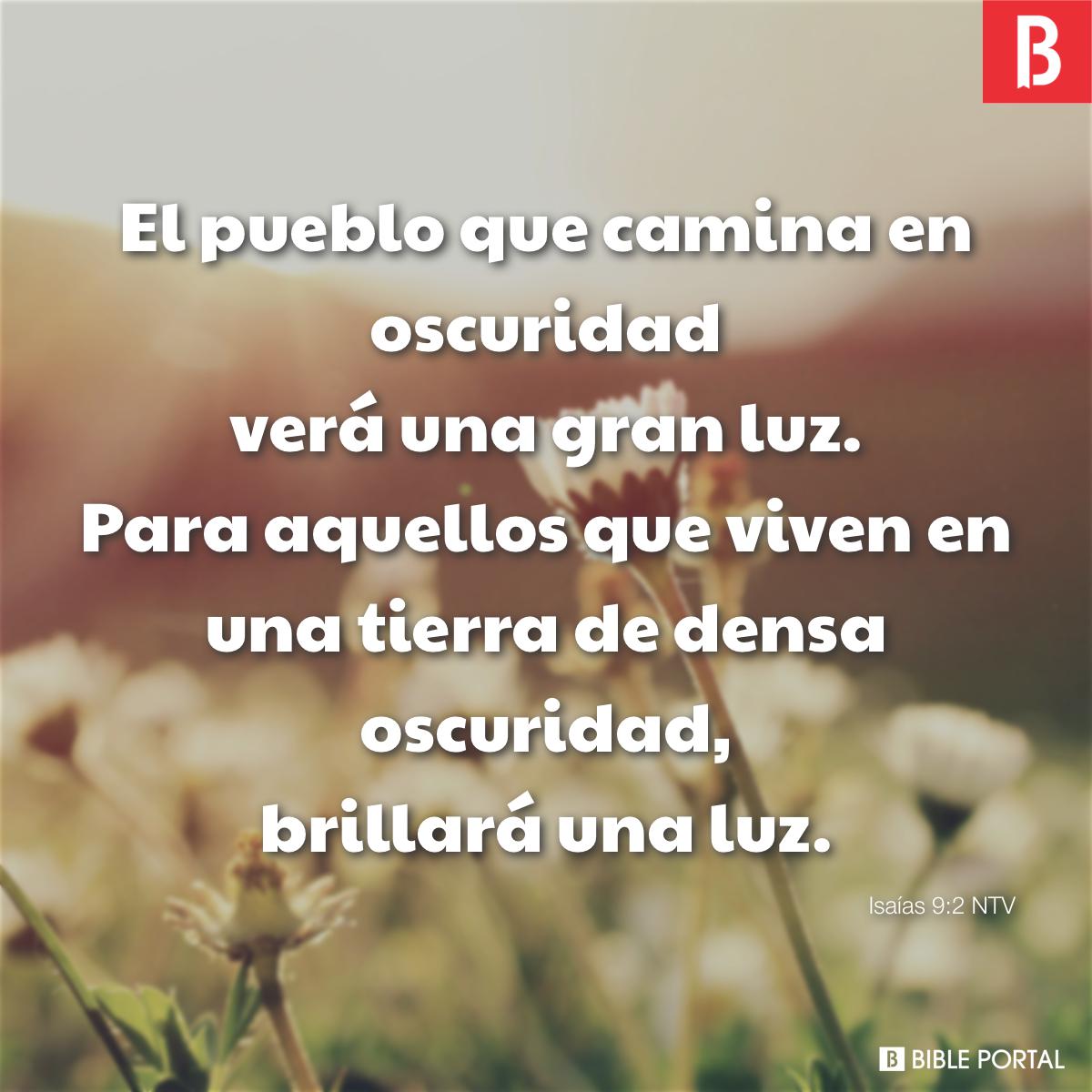 Yo he venido como una luz para brillar en este mundo de oscuridad Juan  12:46 (NTV)