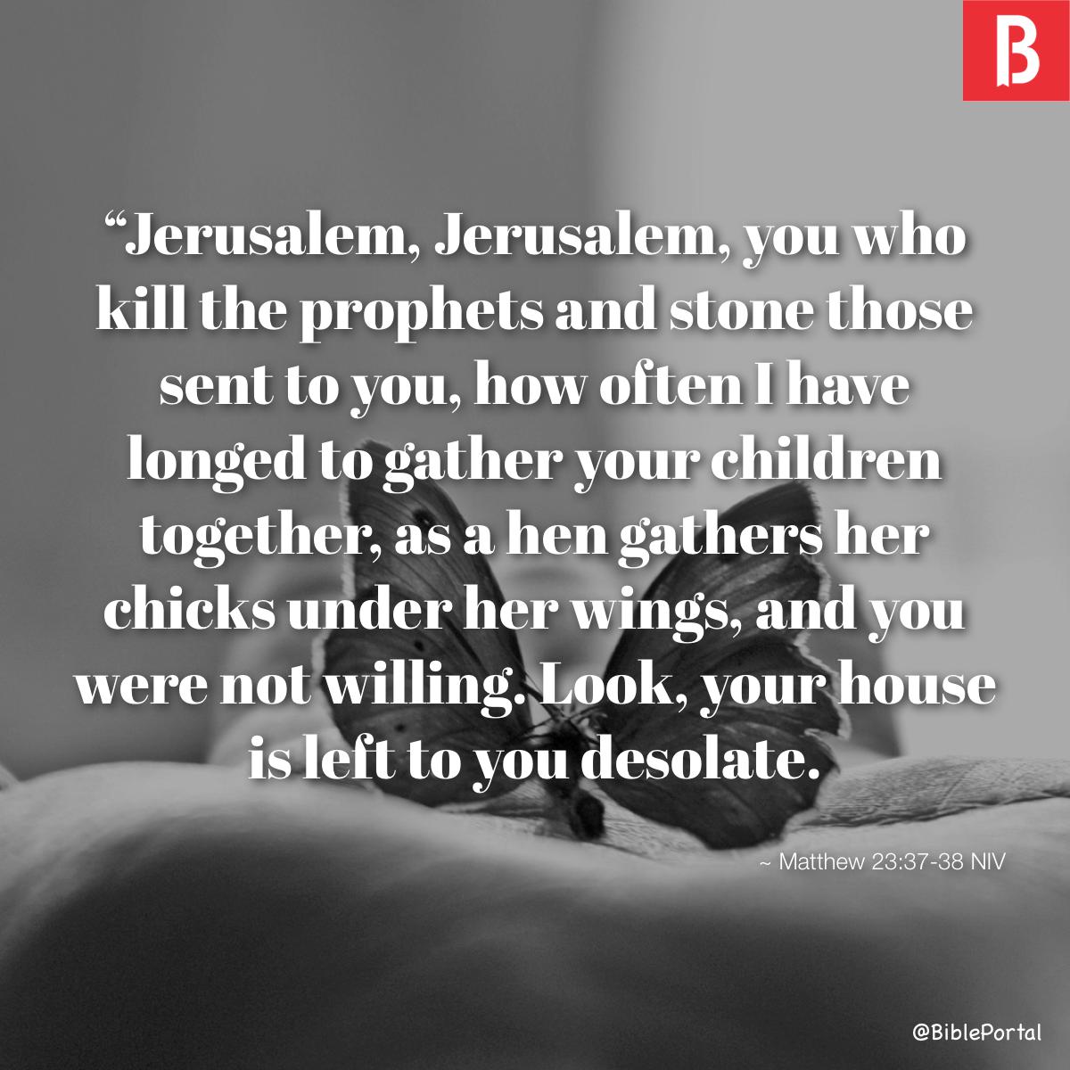 O Jerusalem, Jerusalem (Devotional on Matthew 23:37-39) 