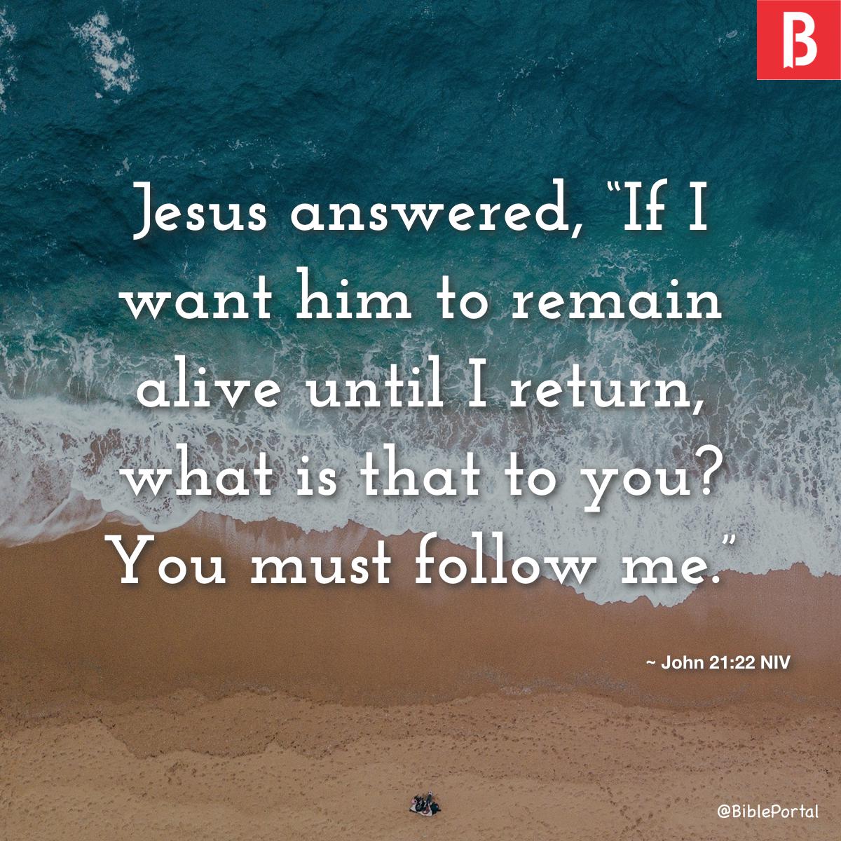 John 21 22 NIV Bible Study Meaning Images Commentaries john-21-22-niv-bible-study-meaning-images-commentaries