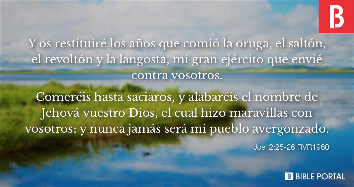 joel 2 vs 25