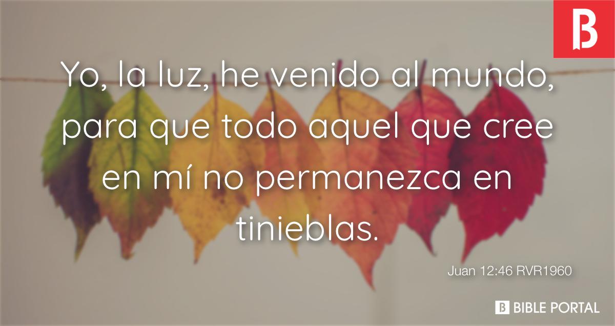 John 12:46  Juan 12:46 --> Yo he venido como una luz para