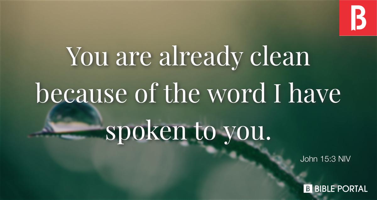 john chapter 3 verse 15