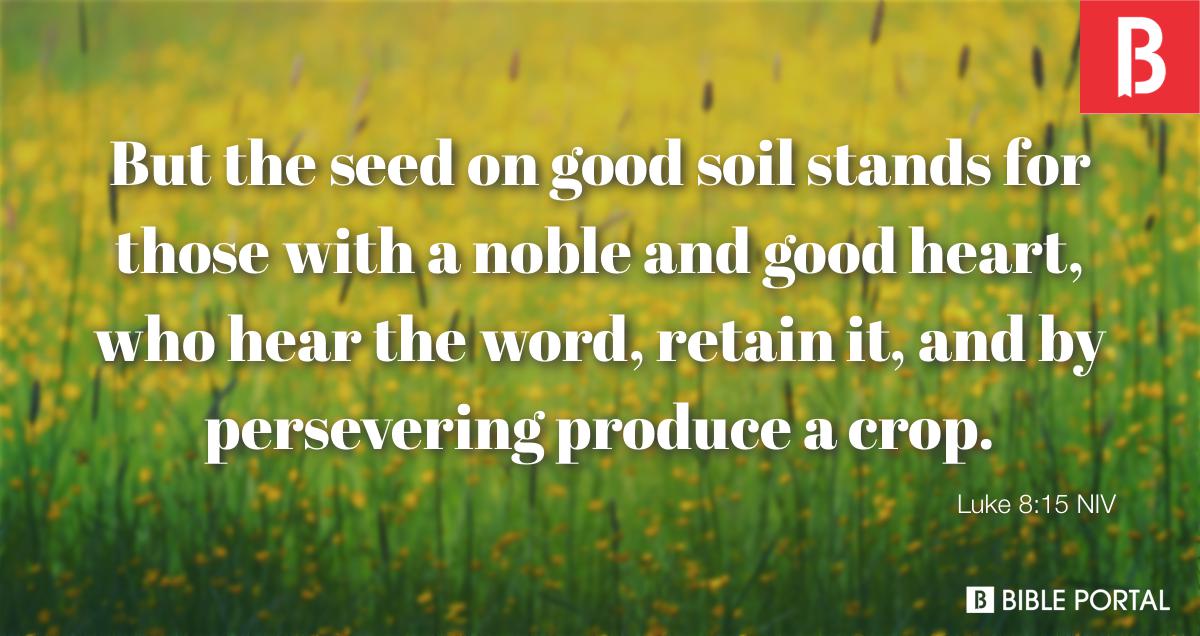 good soil bible