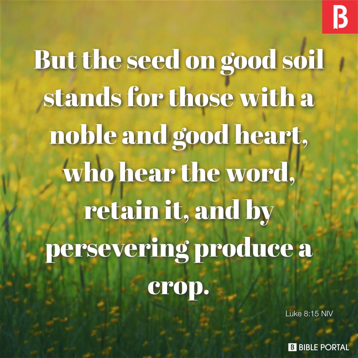 good soil bible