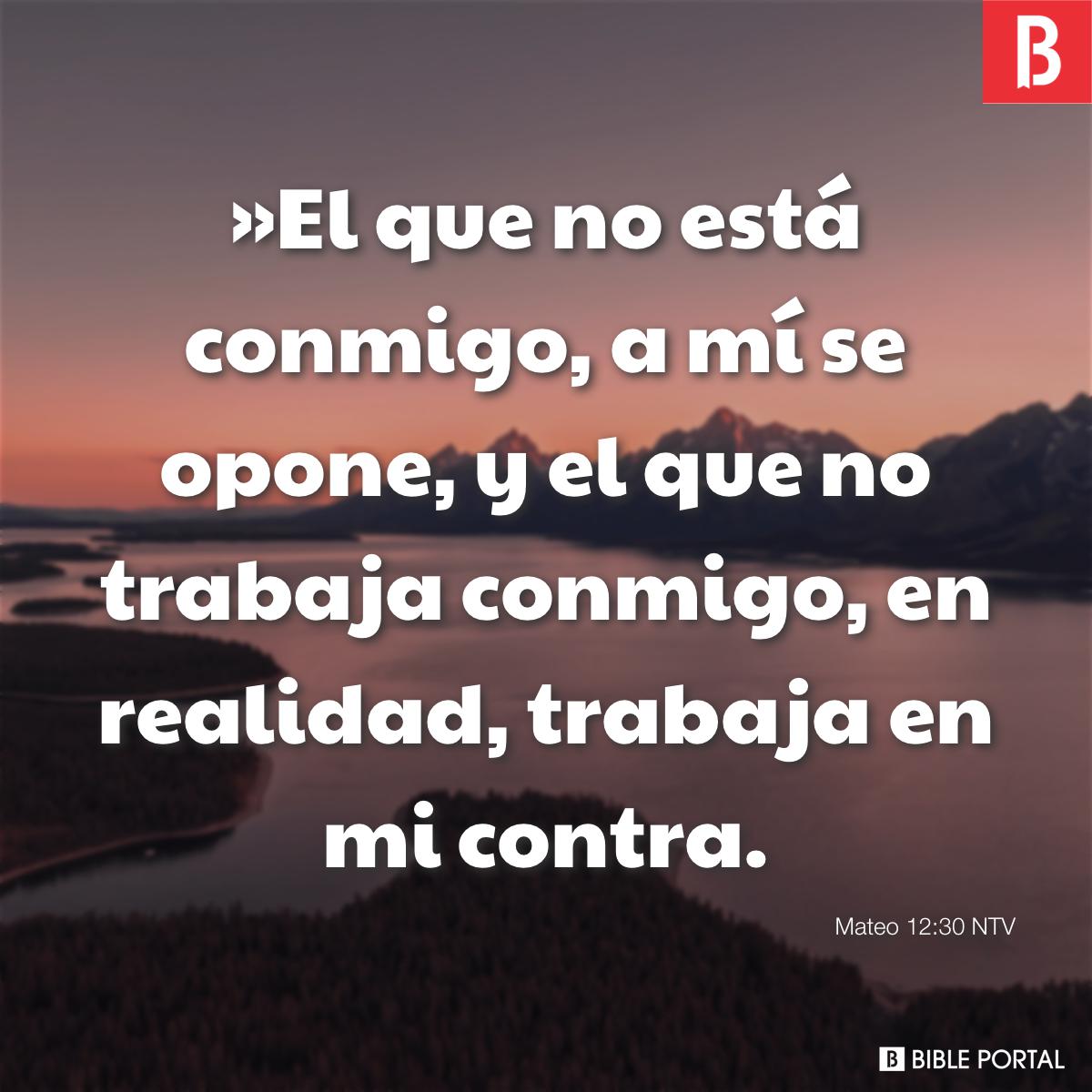 El que no está conmigo está contra mí» (Mt 12: 30, Lc 11: 23