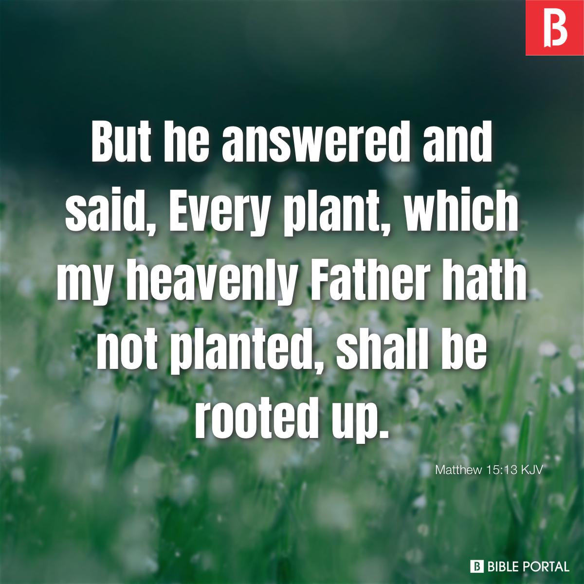 Matthew 15:13 He replied, “Every plant that my heavenly Father has