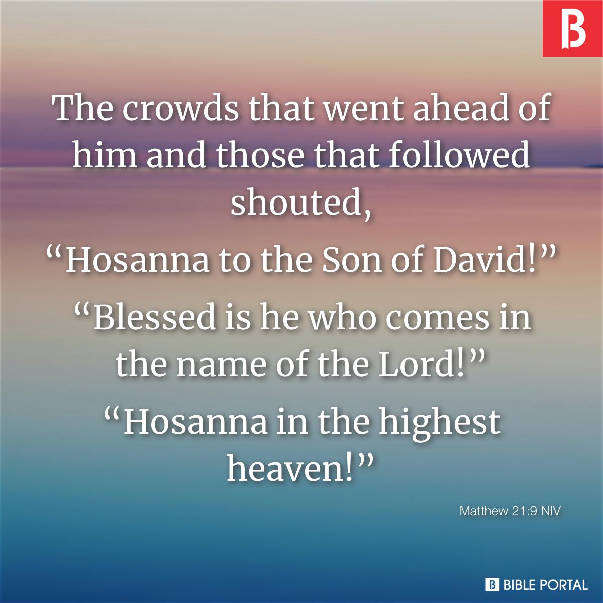 hosanna in the highest bible verse