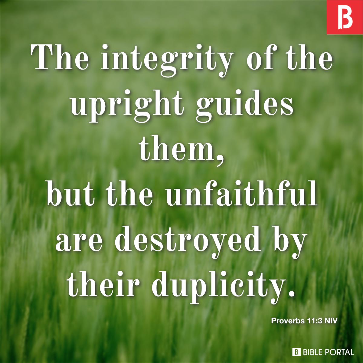 Proverbs113 The Integrity Of The Upright Guides Them But The Unfaithful Are NIV 411 6 