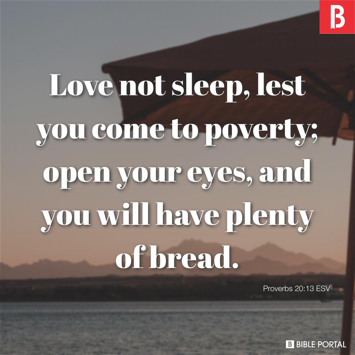 Proverbs 20:13 Do not love sleep, or you will grow poor; open your