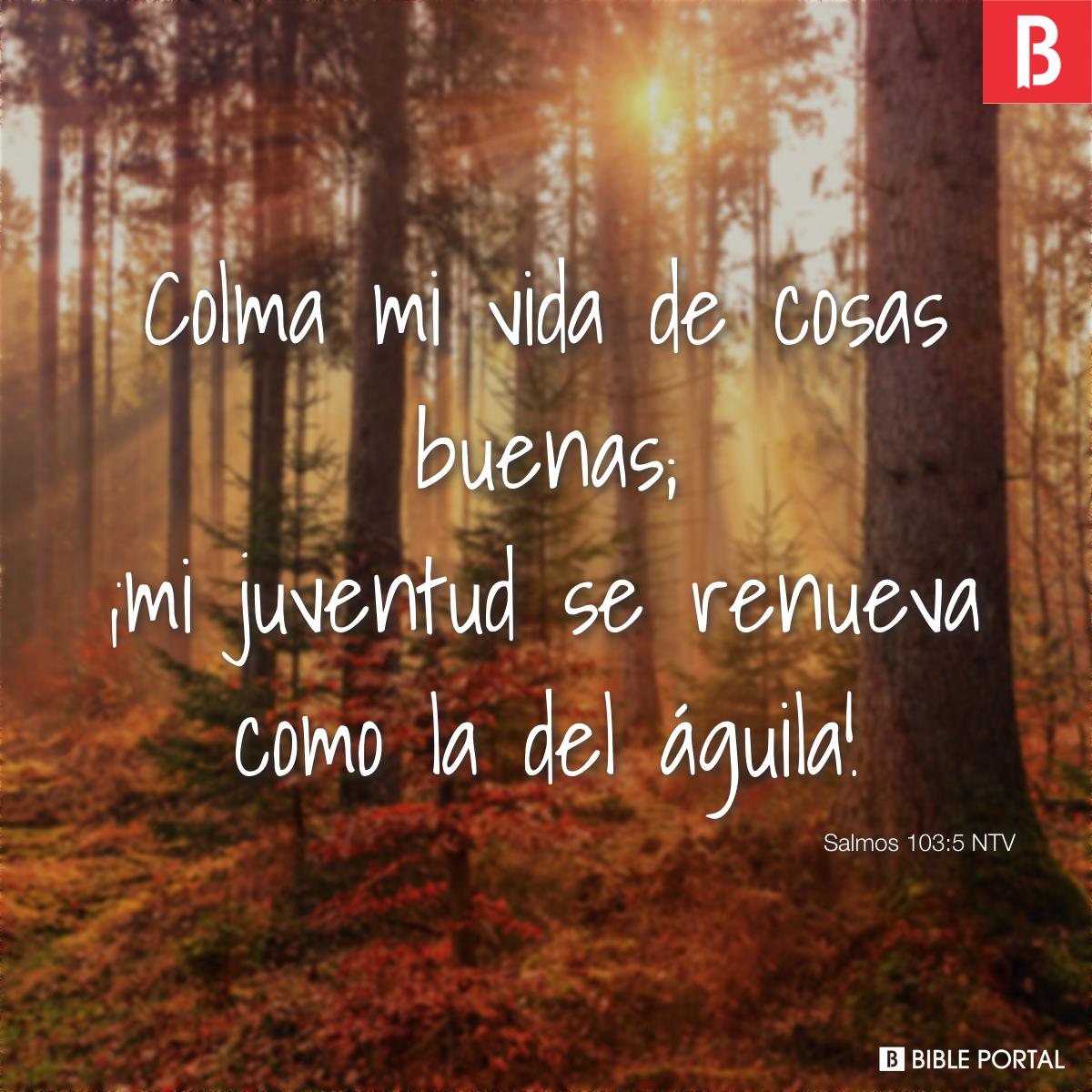 Salmo 103:5, Colma mi vida de cosas buenas; ¡mi juventud se renueva como  la del águila! Salmos 103:5 NTV 👉🏻 Descansemos en Dios que él nos  renovará nuestras fuerzas, By G4- Zona Adolescente