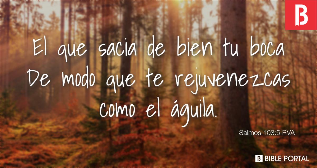 Salmos 103:5 RVA - El que sacia de bien tu boca De modo que te