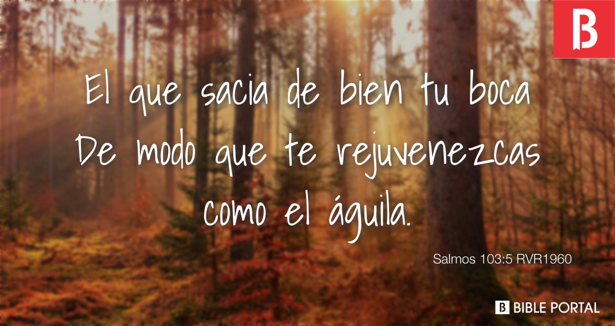 Salmos 103:5 (RVR) - El que sacia de bien tu boca De modo que te