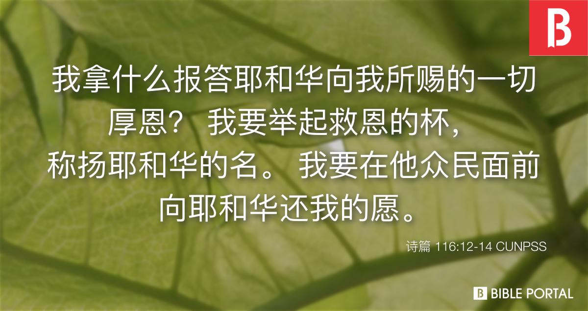 诗篇116:12-14, 诗篇116:17 CUNPSS - Bible Study, Meaning, Images 