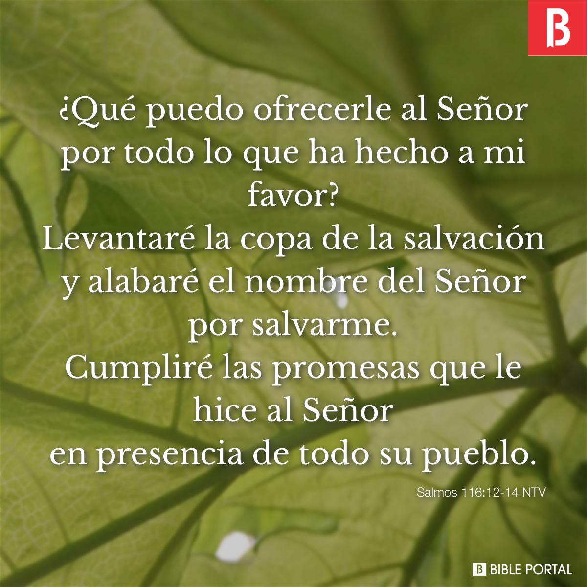 Salmos 116:12-14 NTV - Bible Study, Meaning, Images, Commentaries