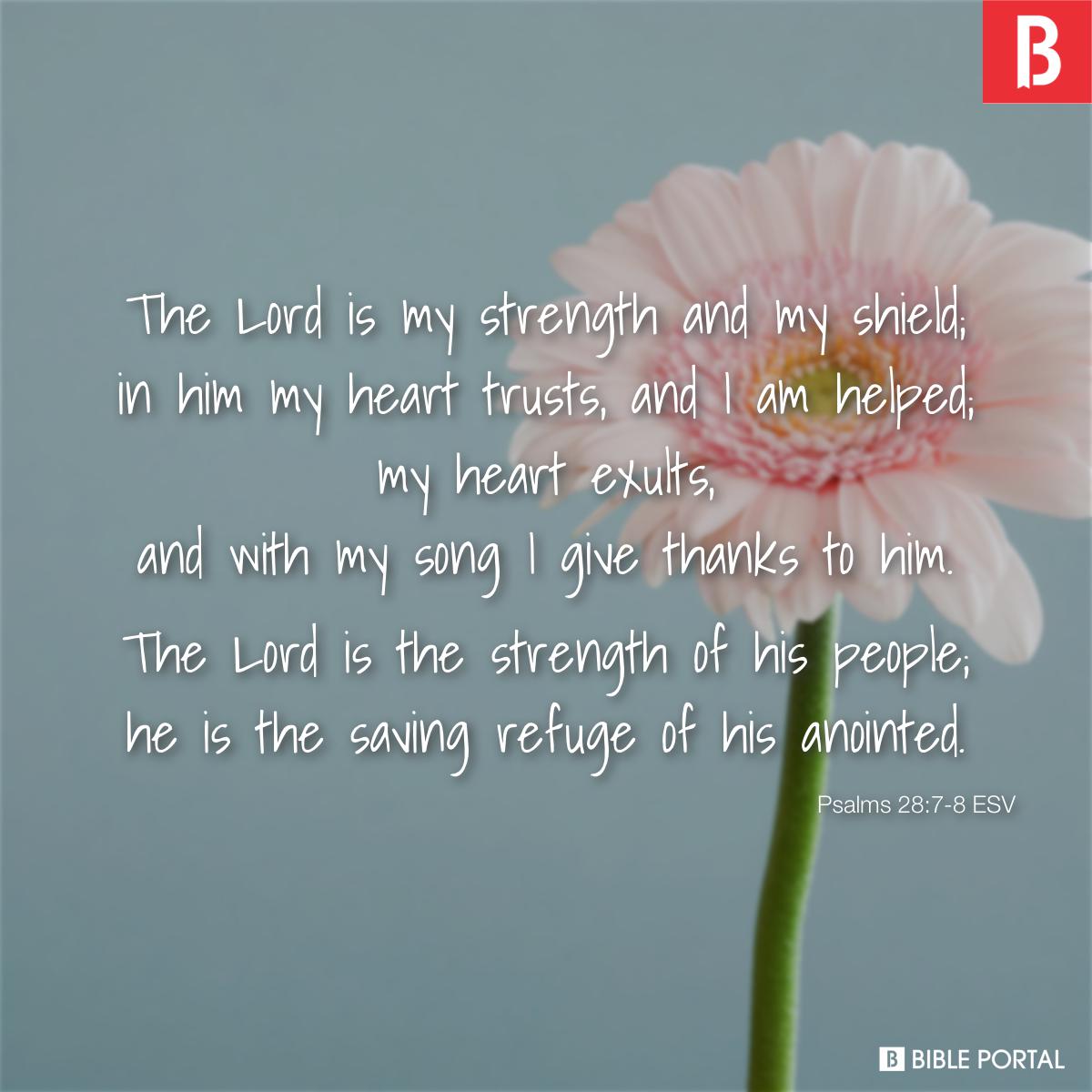 Psalm 28:7 The LORD is my strength and my shield; my heart trusts in Him,  and I am helped. Therefore my heart rejoices, and I give thanks to Him with  my song.