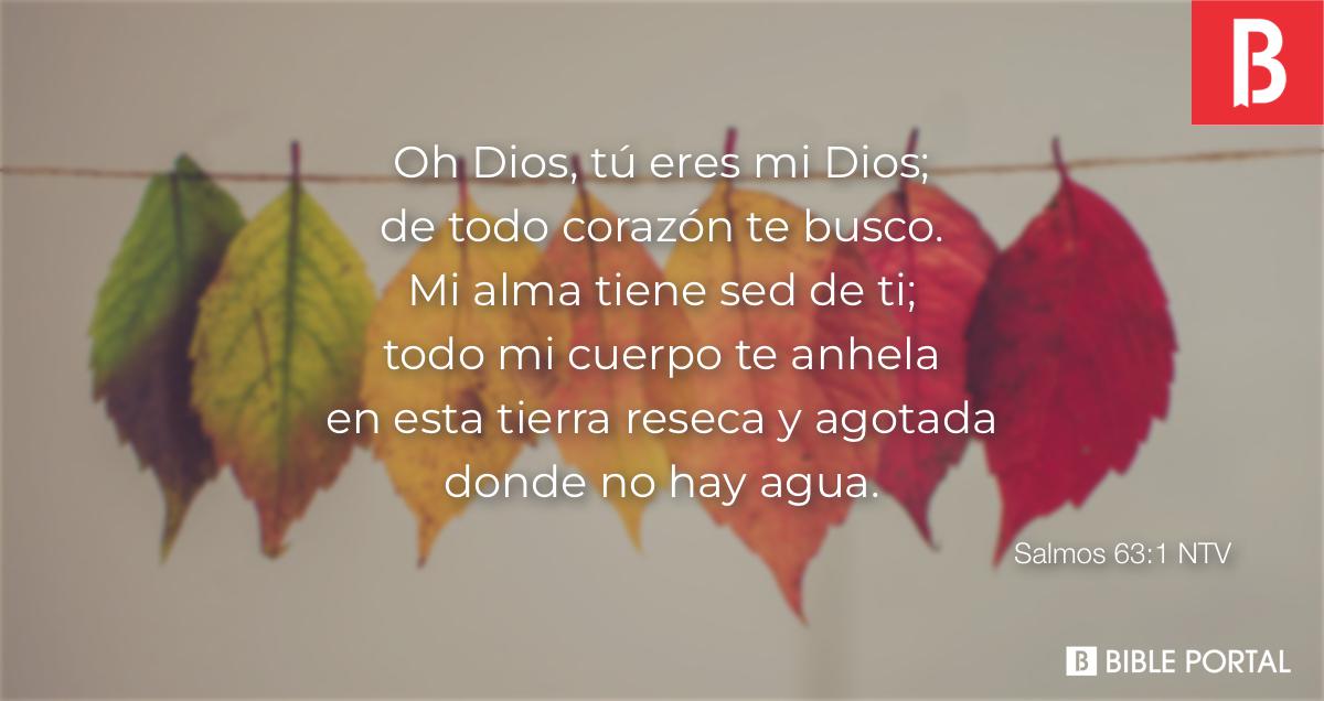 Salmo 063, antífona, Mi alma tiene sed de ti, Señor, Dios m…