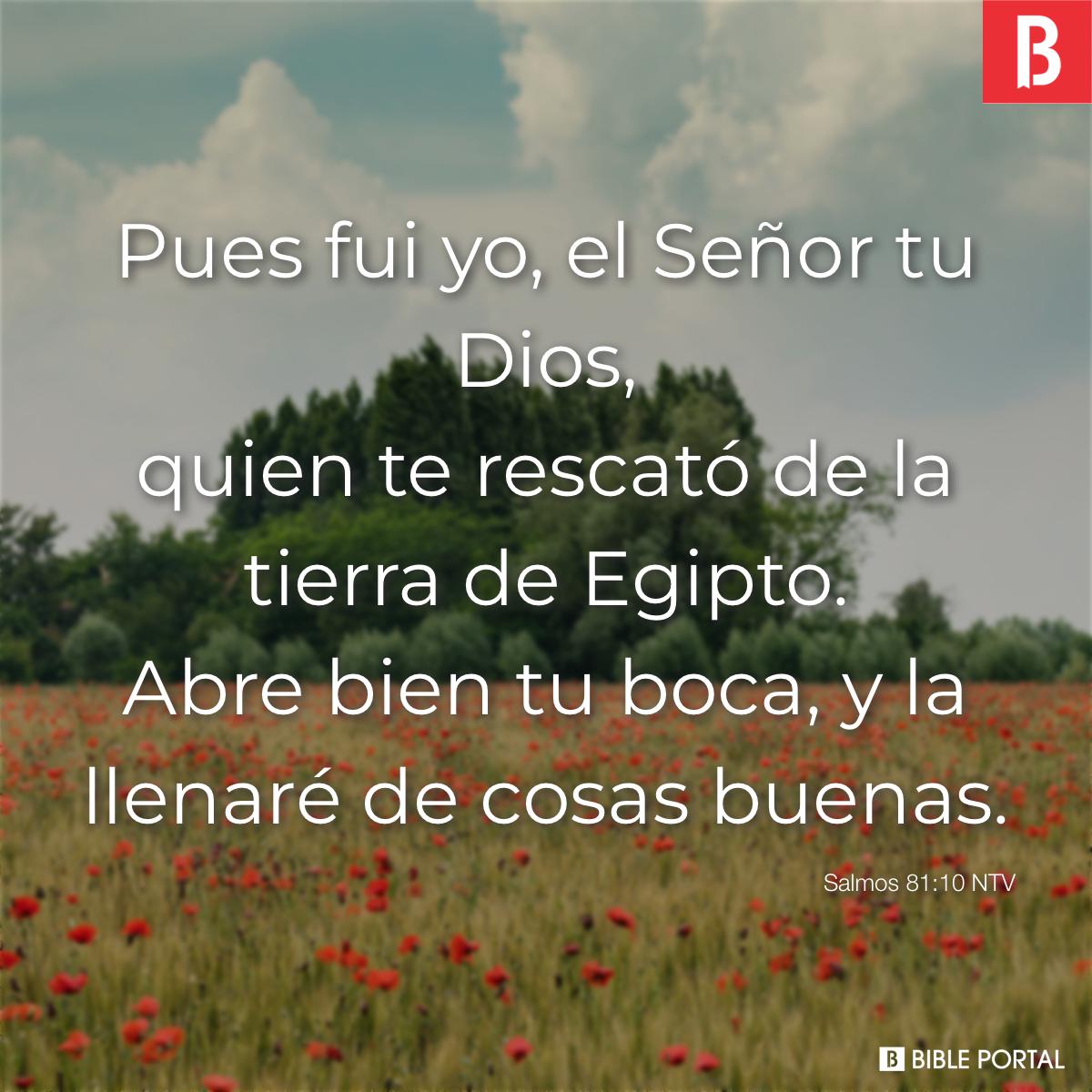 Salmos 103:5 NVI - Bible Scripture Image - Bible Portal