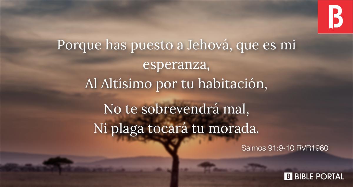 Salmo 91:9 - Bíblia