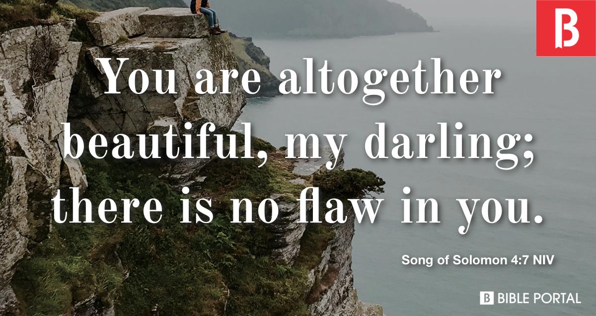 Song of Solomon 4:7 NIV - Bible Portal