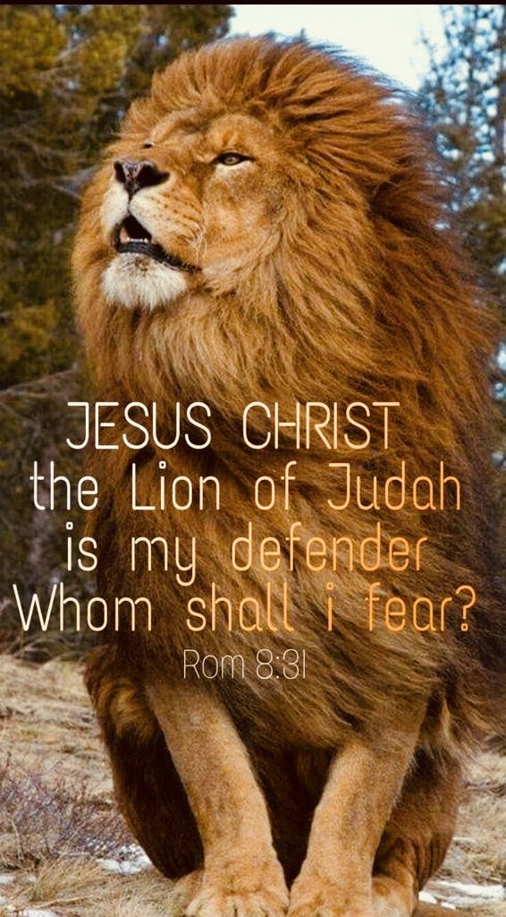 JESUS CHRIST the Lion of Judah is my defender Whom   shall fear? Rom 8.31