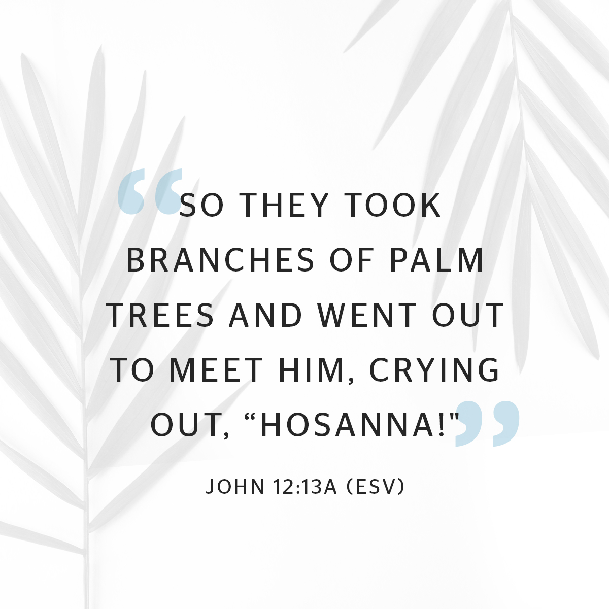 So THEY TOOK BRANCHES OF PALM TREES AND WENT OUT To MEET HIM, CRYING OUT, HOSANNAI" ) 9 JOHN 12.13A (ESV)