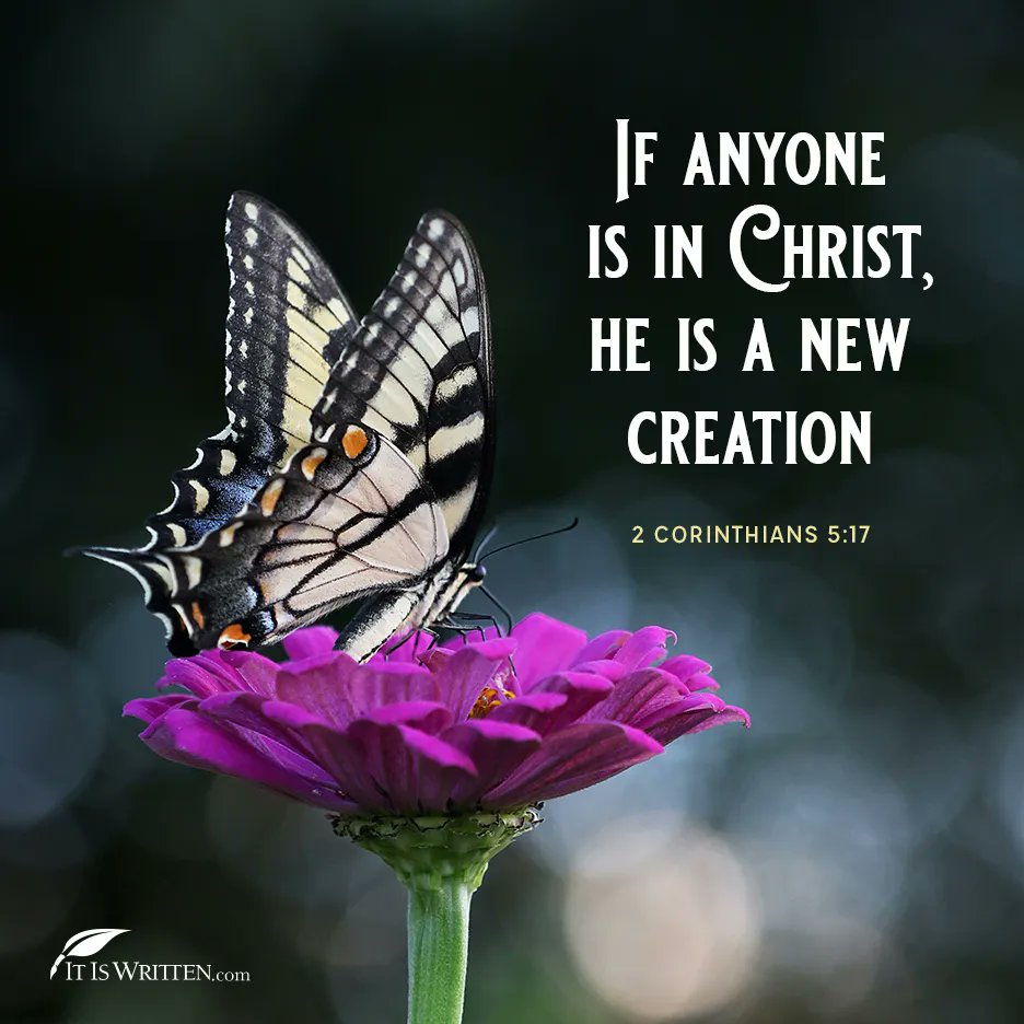 IF ANYONE IS IN CHRIST, HE IS A NEW CREATION 2 CORINTHIANS IT IS WRITTENcom 5.17