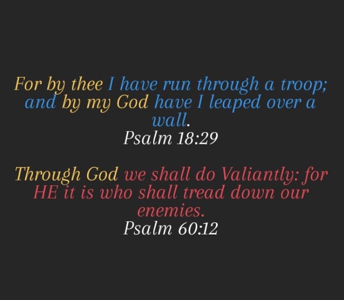 For by thee I have run through a troop; and by my God have I leaped over & wall. Psalm 18.29 Through God we shall do Valiantly: for HE it is who shall tread down our enemies. Psalm 60.12