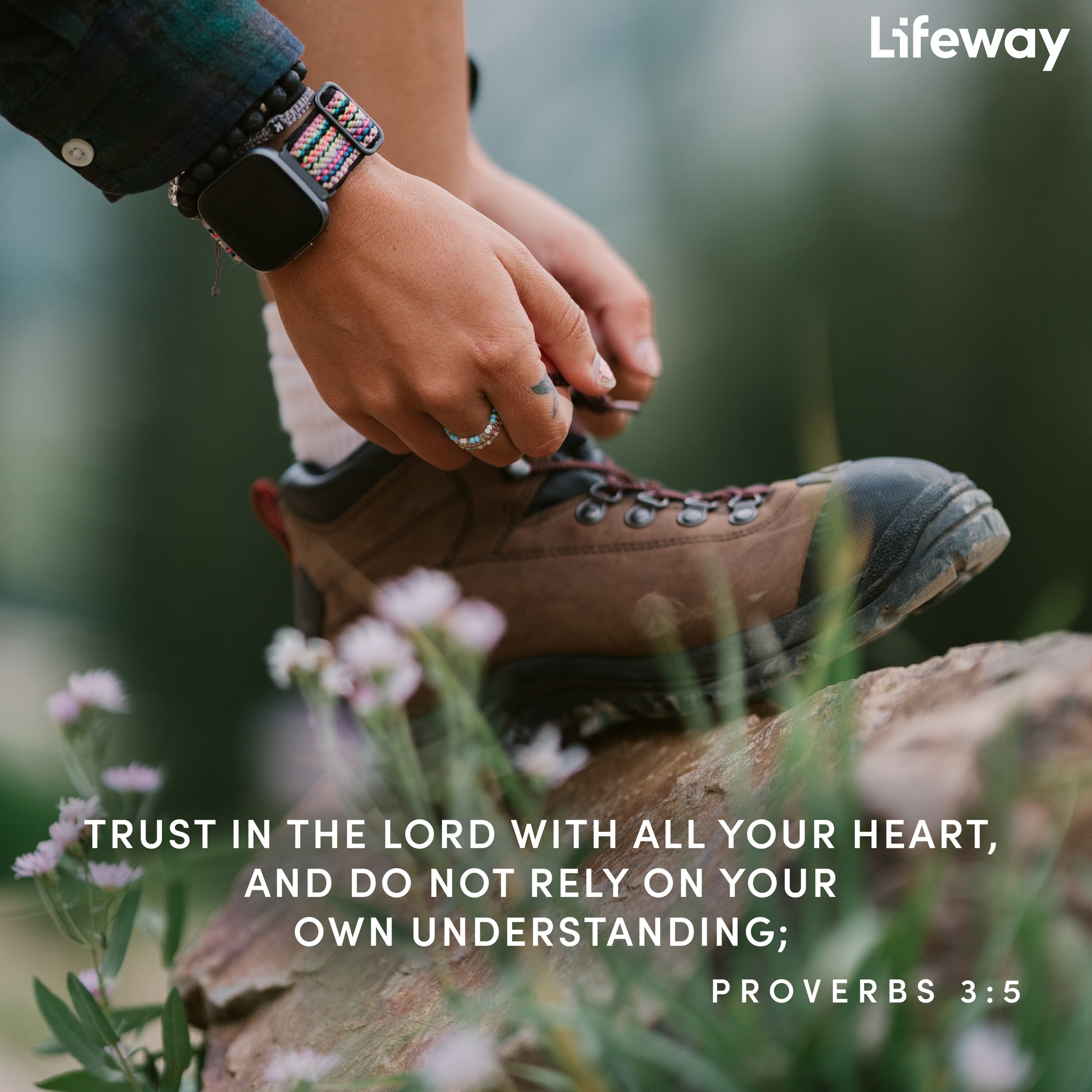 '通海 S Lifeway TRUST IN THE LORD WITH ALL YOUR HEART, AND DO NOT RELY ON YOUR OWN UNDERSTANDING; PROVERBS 3:5'