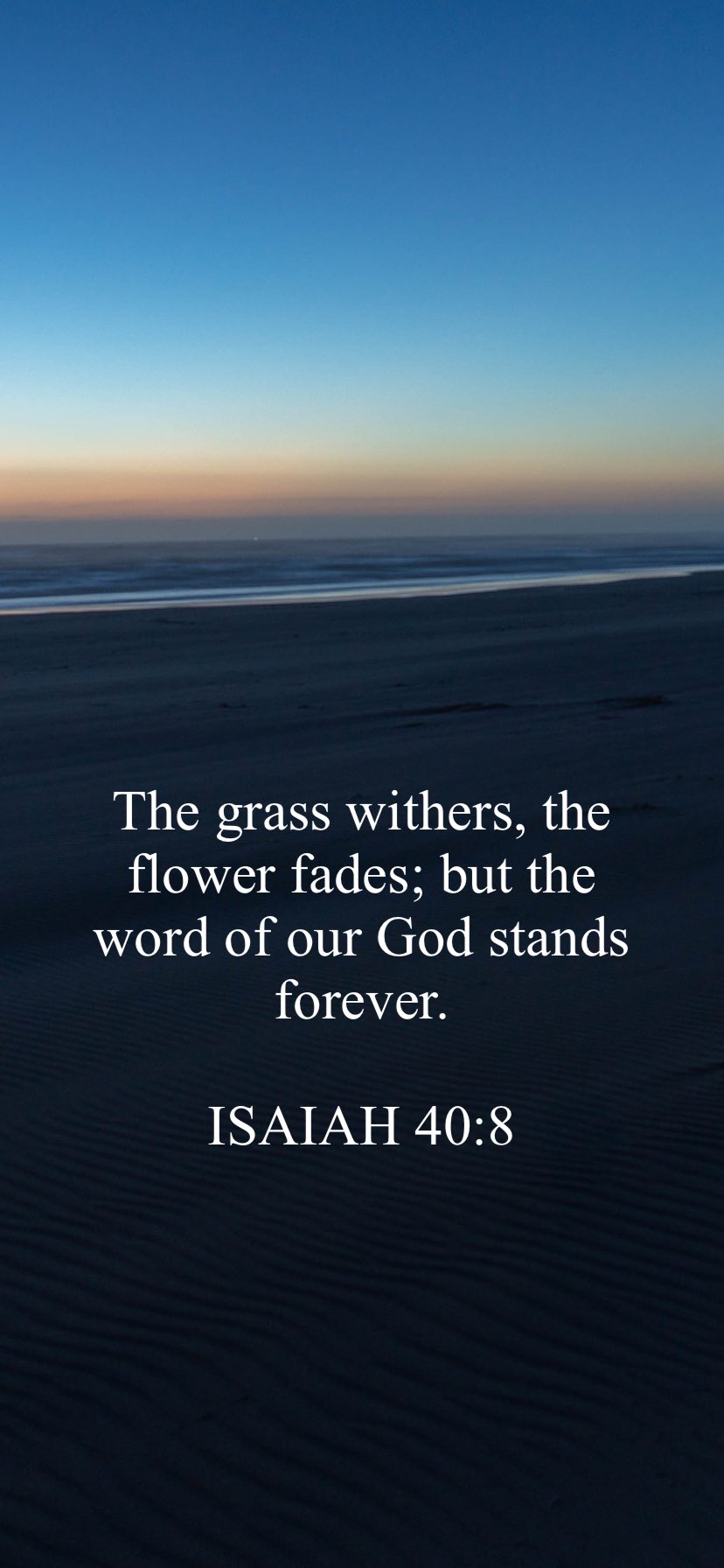 The grass withers, the flower fades; but the word of our God stands forever: ISAIAH 40.8