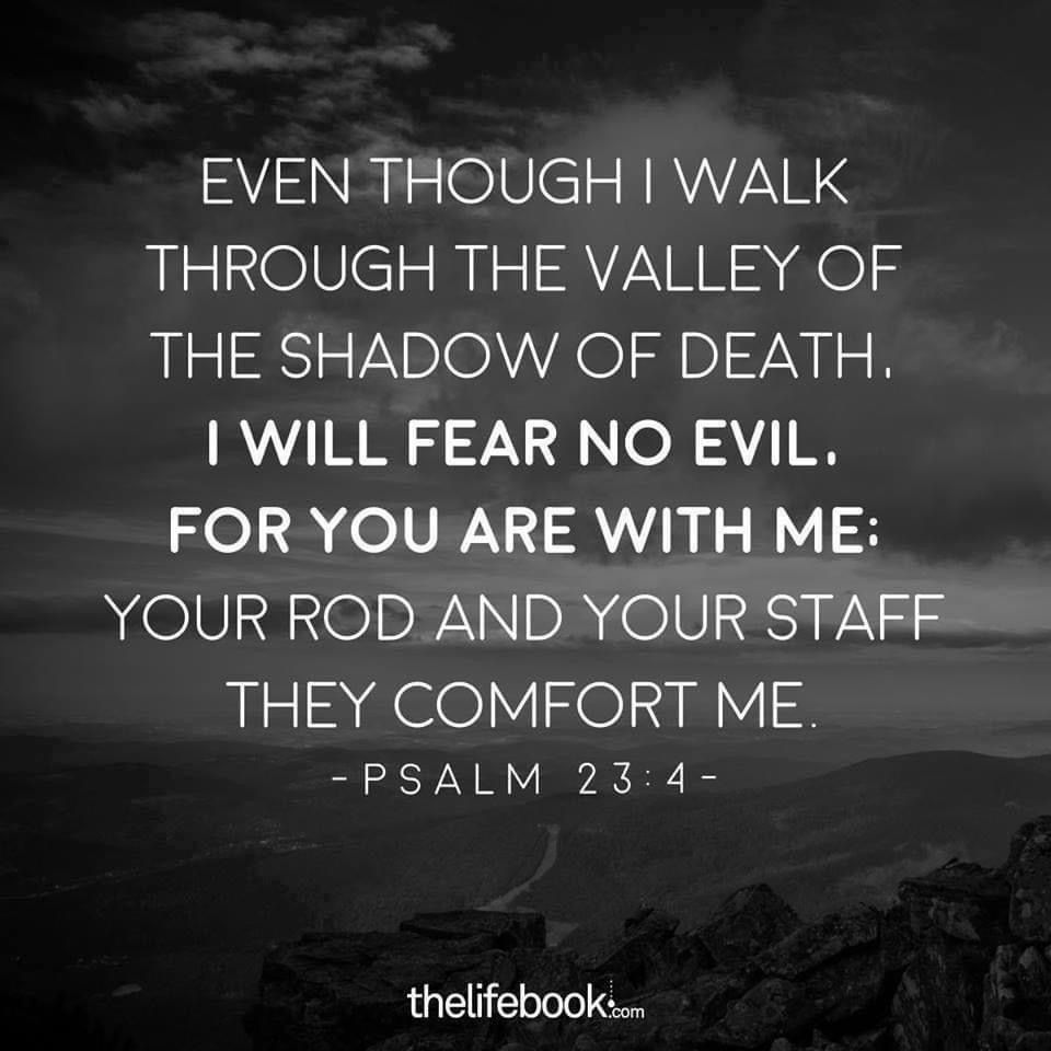 'EVEN THOUGH I WALK THROUGH THE VALLEY OF THE SHADOW OF DEATH. I WILL FEAR NO EVIL. FOR YOU ARE WITH ME: YOUR ROD AND YOUR STAFF THEY COMFORT ME -PSALM 23:4- thelifebook.com'