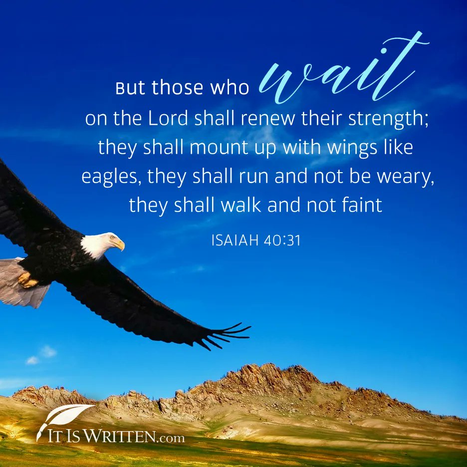 But those who Wad on the Lord shall renew their strength; shall mount up with wings like eagles; shall run and not be weary; shall walk and not faint ISAIAH 40.31 IT IS WRITTENcom they they they