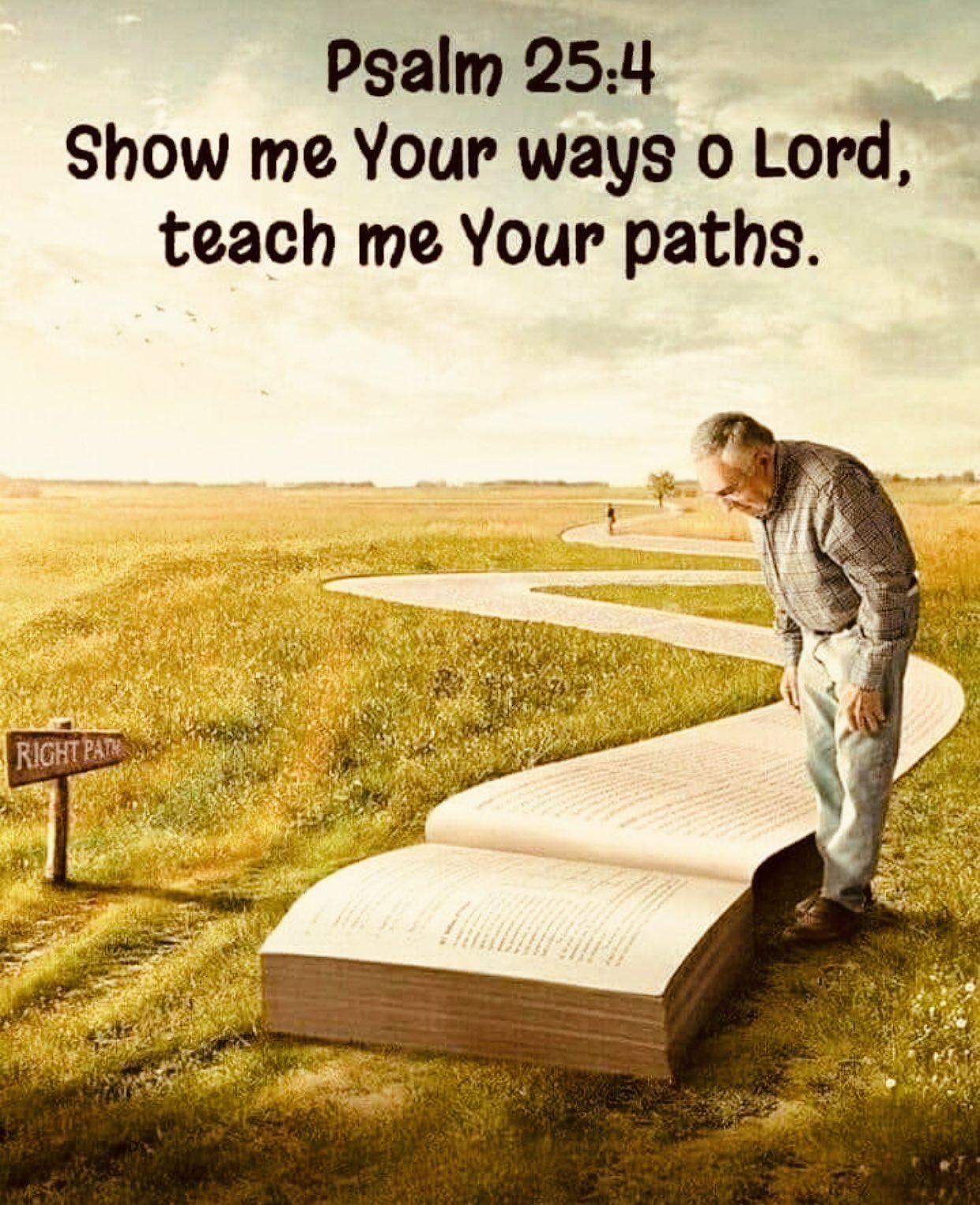 Psalm 25.4 Show me Your ways 0 Lord, teach me Your paths: RIGHT PAn