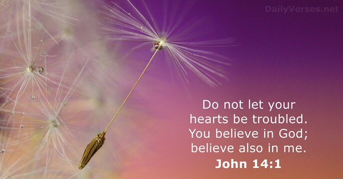 DailyVerses net Do not let your hearts be troubled_ You believe in God; believe also in me: John 14.1