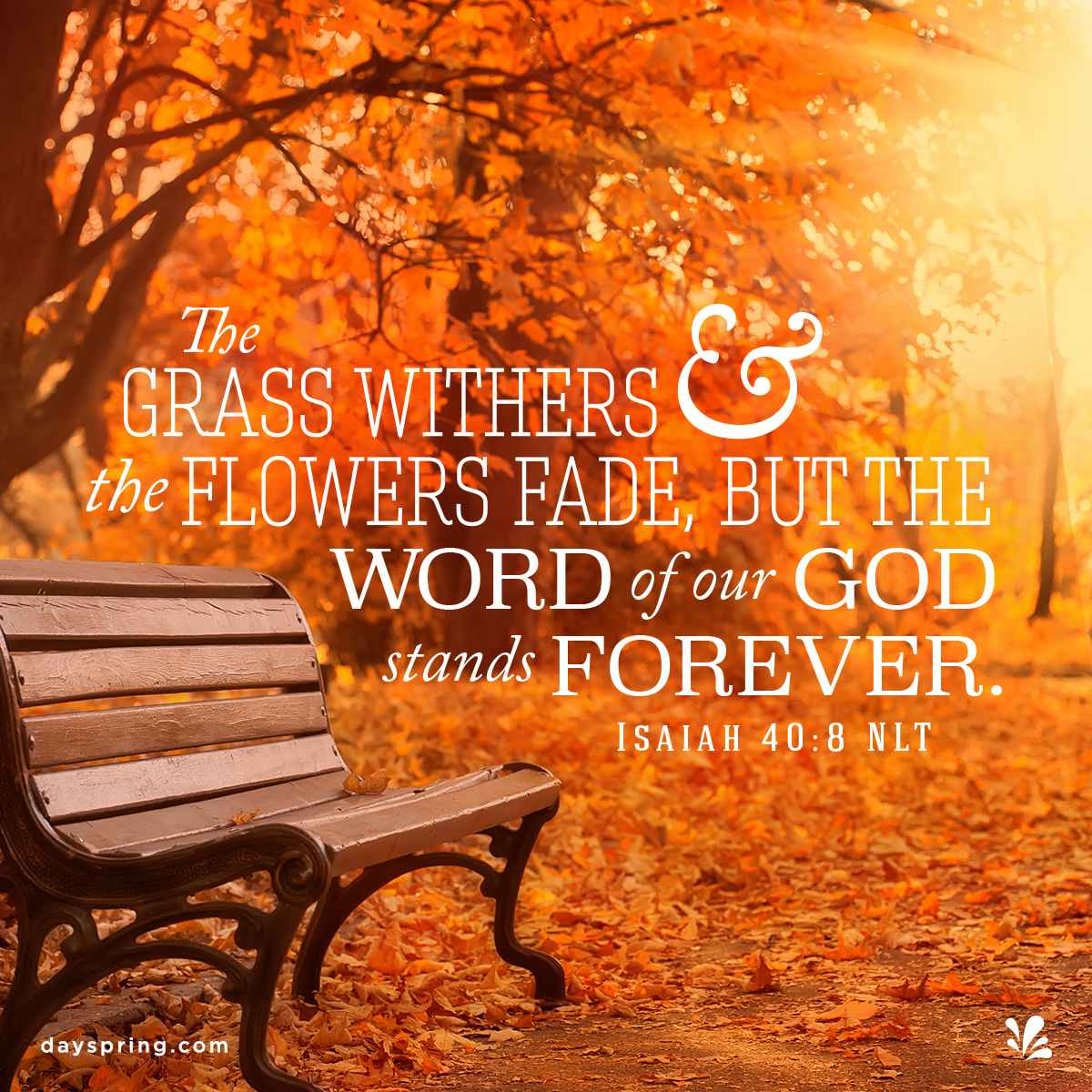 'Tbe GRASS WITHERS (I the FLOWERS FADE, BUT THE WORD of our GOD stands FOREVER ISAIAH 40 : 8 NLT dayspring com