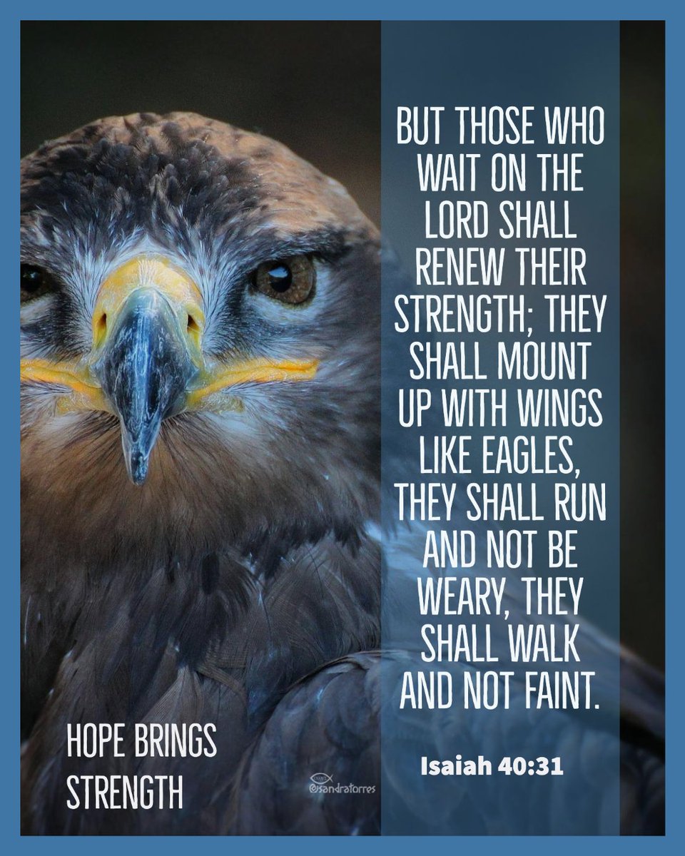 BUT THOSE VHO IAIT ON THE LORD SHALL RENEW THEIR STPENGTH; THEV SHALL MOUNT UP WITH IINGS LIke EAgLeS, THEY SHALL RUN AND NOT Be IEARV, THEV SHALL WALK AND NOT FAINT  HOE BRINGS Isaiah 40:31 STRENGTH eenerlom 