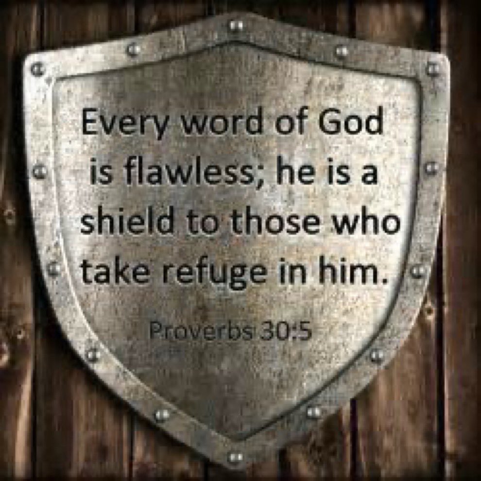 Every word of God is flawless; he is a shield to those who take refuge in him: Proverbs 30.5
